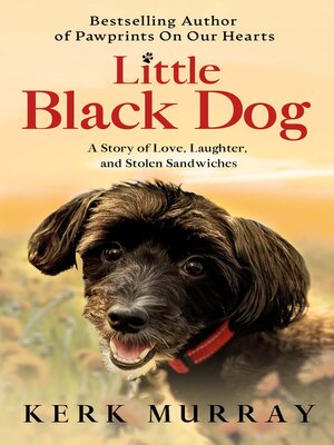 cover image of Little Black Dog